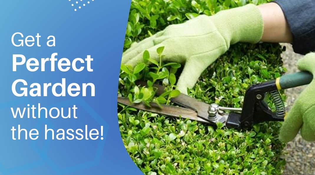 Garden Maintenance
