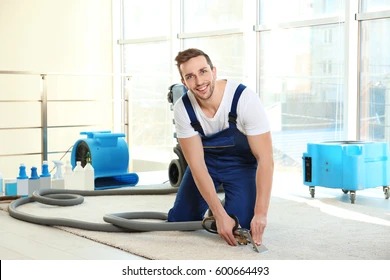Carpet Dry Cleaning