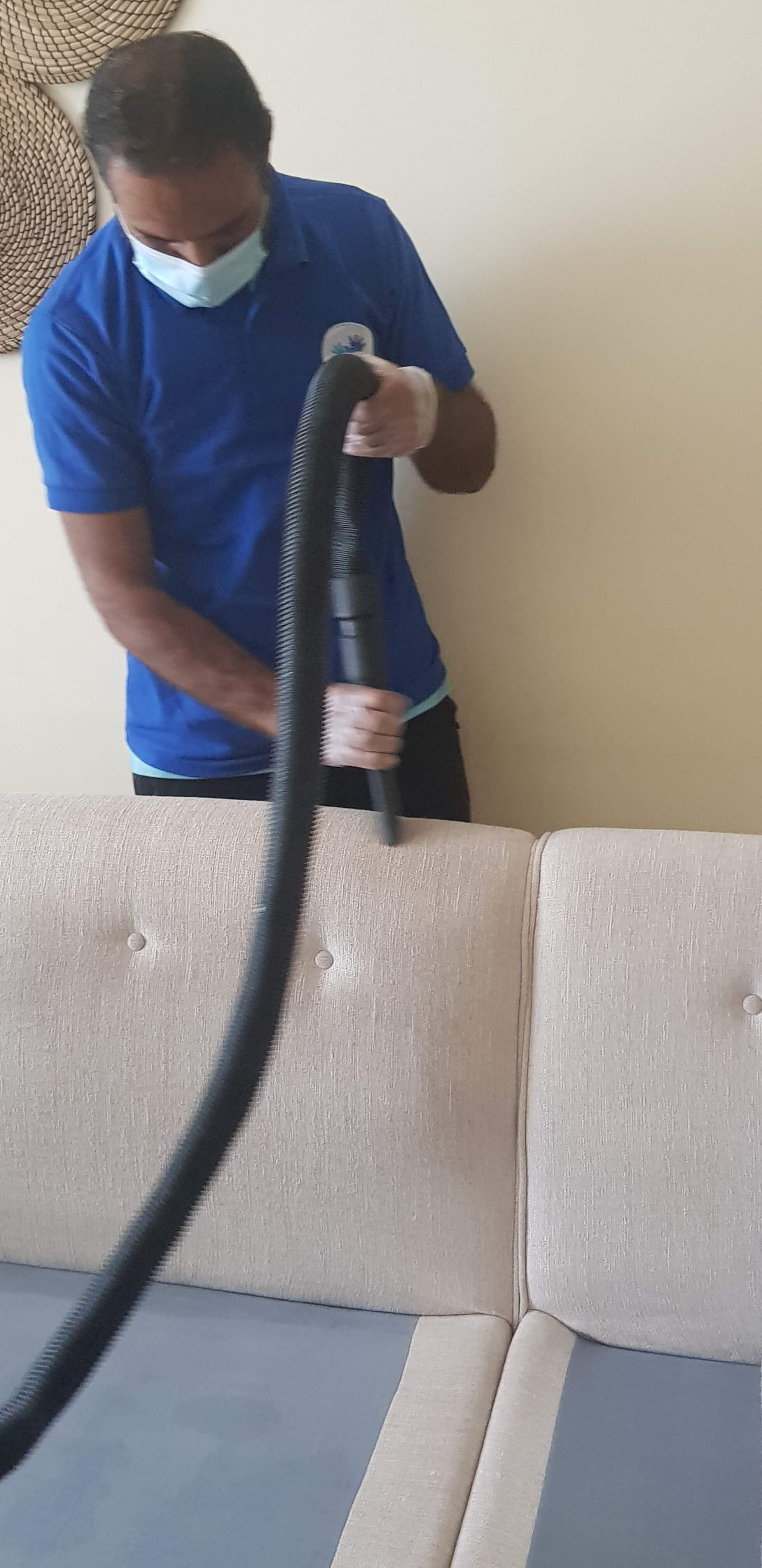 Sofa Shampooing