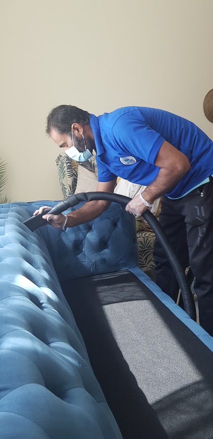 Upholstery Brush