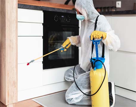 Pest Control