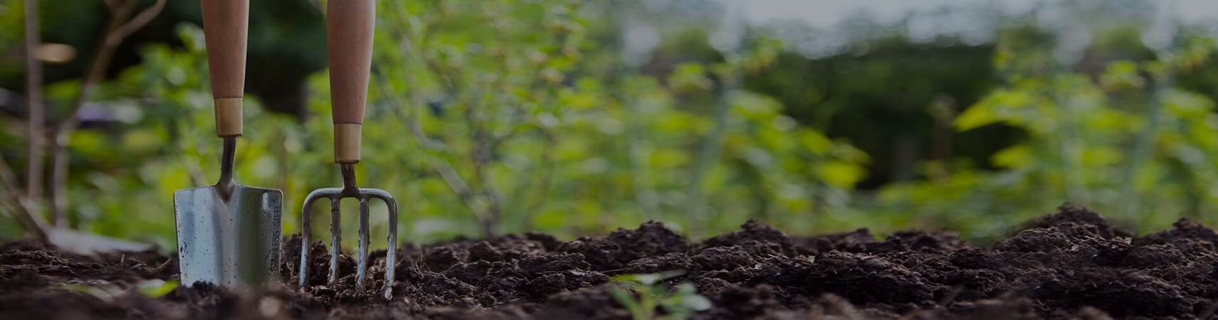 Garden Maintenance in Sharjah