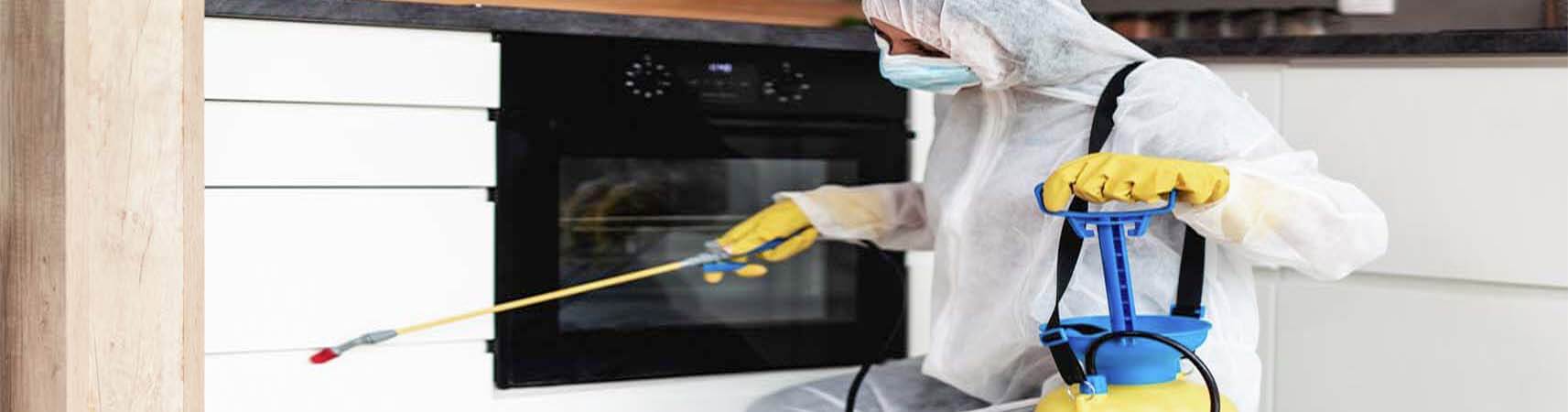 Pest Control in Sharjah